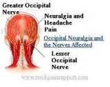 Occipital